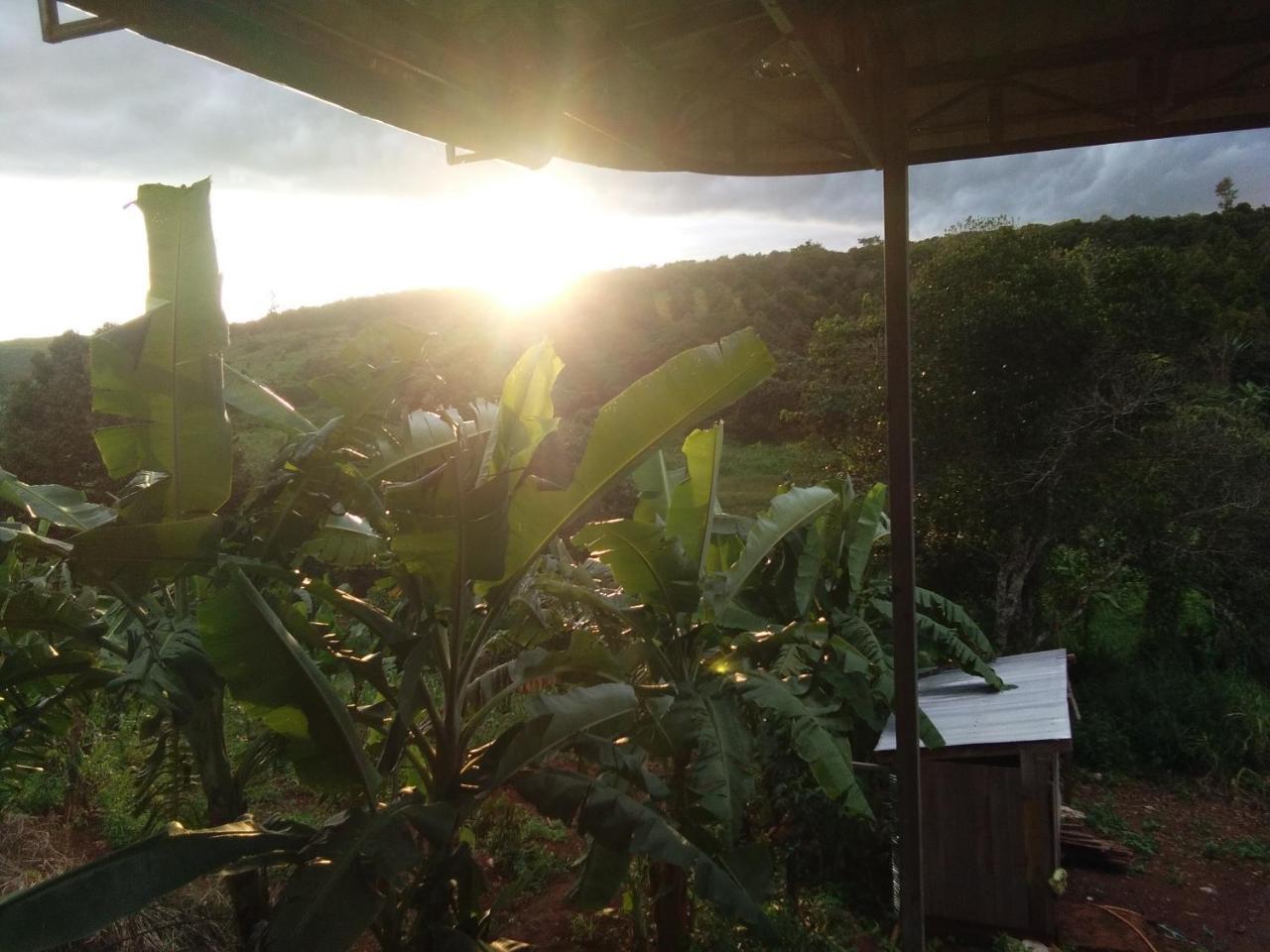 Mr Pov Home Stay Banlung エクステリア 写真